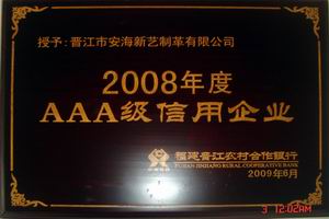 3A信用企业2008年