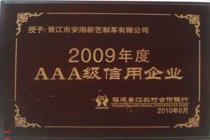 3A信用企业2009年